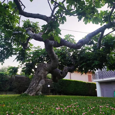 Bed & Breakfast Matilde